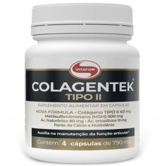 Colagentek Tipo II (4 Caps) Vitafor