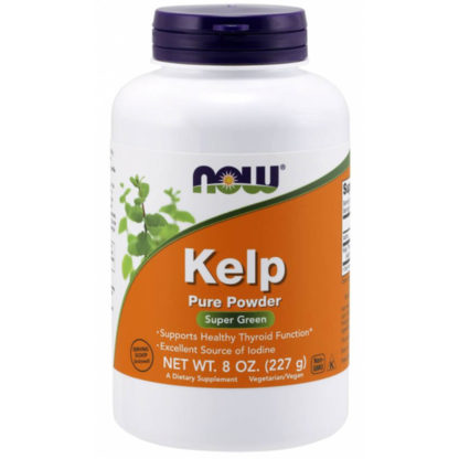 Kelp Premium em Pó (227g) Now